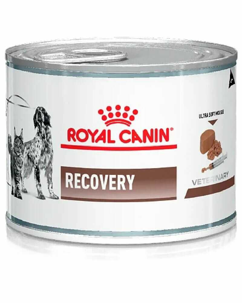 Royal Canin Recovery Canine y Feline Lata 145 Gr