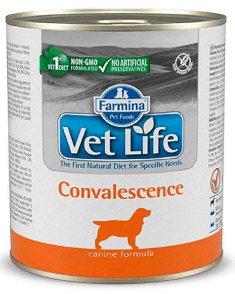 Vet Life Natural Diet Dog Convalescence 300 Gr