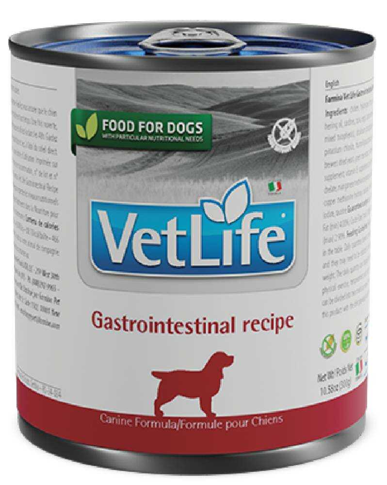 Vet Life Natural Diet Dog Gastrointestinal 300 Gr