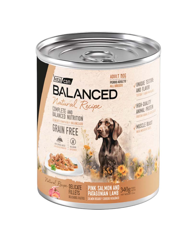 Vitalcan Balanced Natural Recipe Perro Delicados Filetes Salmón y Cordero 340 Gr